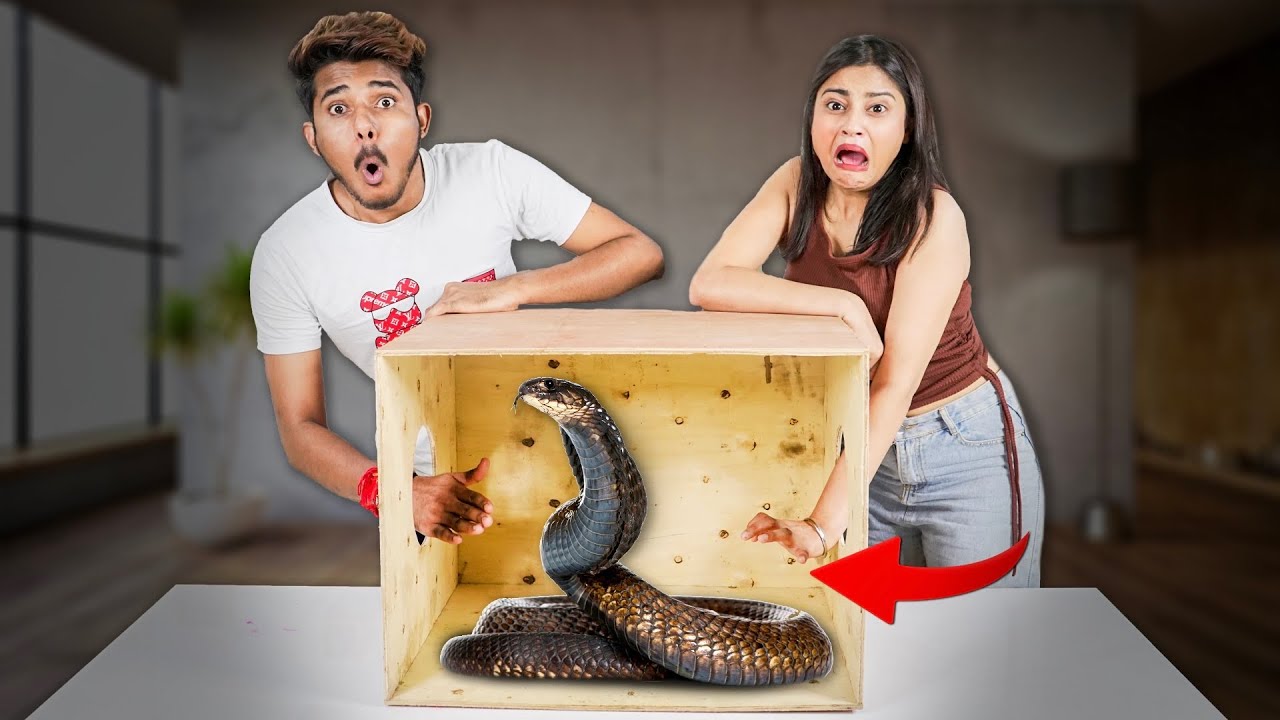 What's in the BOX Challenge With Nishu ! *Live Animals*