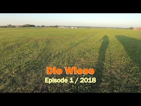 Episode 1 / 2018 - Sondengänger Allgäu