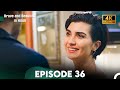 Brave And Beautiful In Hindi Episode 36 Hindi Dubbed 4K
