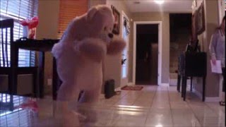 Teddy Bear Scare Prank