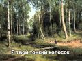 Русское поле - Ян Френкель - With lyrics 