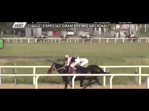 Hipódromo San Félix gran premio especial 1800 Metros 12 de diciembre 2 0 2 5