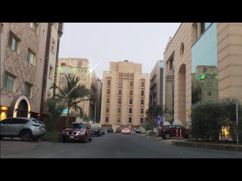 الفيديو