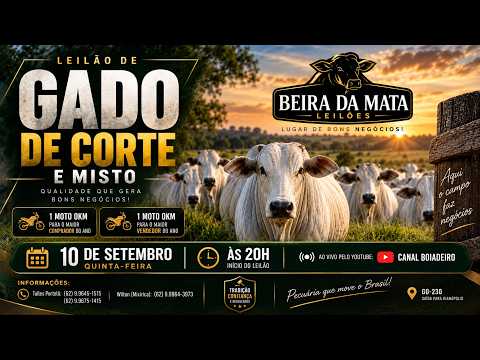 Beira da Mata Leilões - Uruana GO - Leilão de Gado de Corte em Goiás @canal.boiadeiro #live #gado