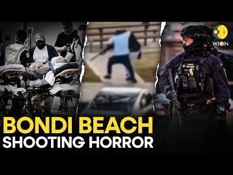 Bondi Beach Horror: What We Know About the Hanukkah Attack | WION Originals