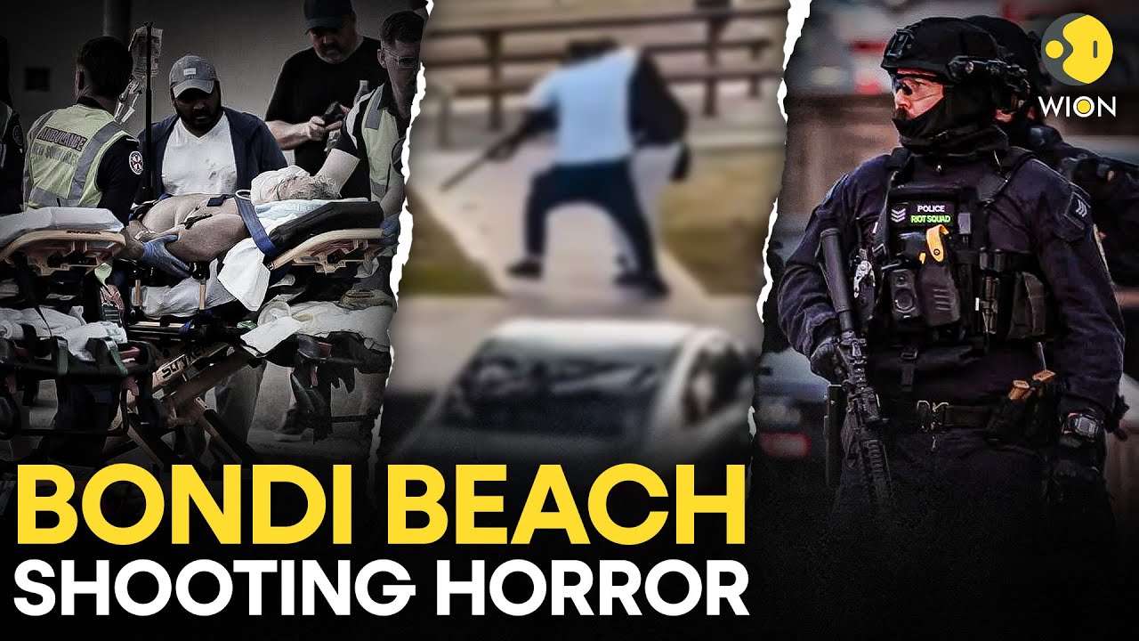 Bondi Beach Horror: What We Know About the Hanukkah Attack | WION Originals