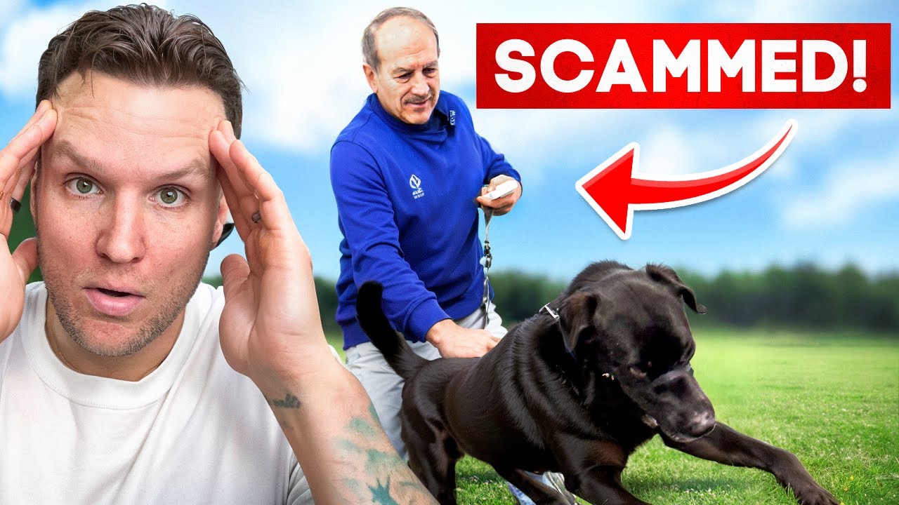 You won't believe how bad this dog owner got scammed- Dog Training Scam Exposed!