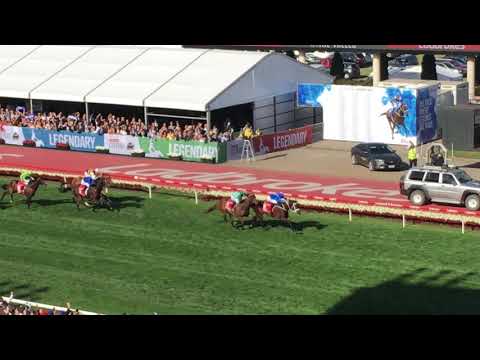Winx 2017 Cox Plate