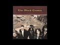 The Black Crowes — Sting Me