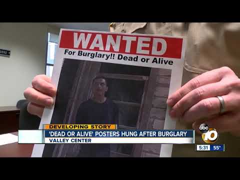 'Wanted: Dead or Alive' posters created to find thief in North San Diego County