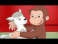 Los Animales De La Granja Jorge El Curioso En Español