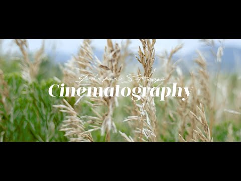 Demo Reel 08-01-2022