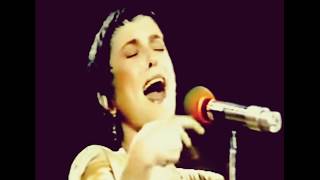 Analisando: Elis Regina | Maria Maria (1981)