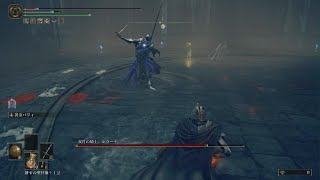 双月の騎士レラーナ100回タヒねば誰でも勝てるパリィ　ELDEN RING攻略