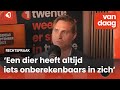 Gebeten door een huisdier: wie is aansprakelijk?