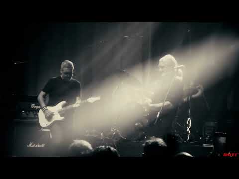 DIRE STRAITS Legacy - Sultans of Swing (2022) Guitar World Record Hey Joe Wroclove