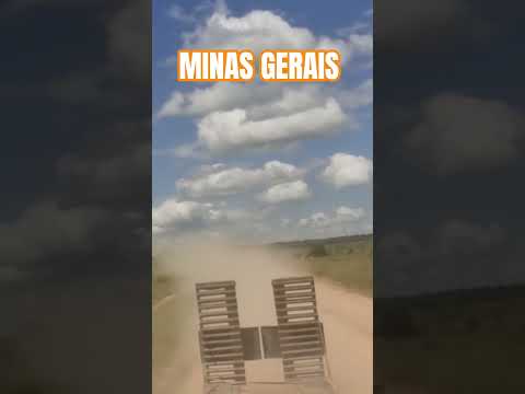 MINAS GERAIS, BERIZAL, VIDA DE CAMINHONEIRO, #mg #brasil