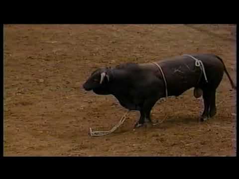 Tyrel bucks Casey Gates - 96 PBR Sacramento