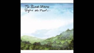 The Last Place That Love Lives ~ The Black Crowes