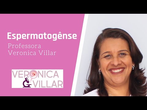 Embriologia Geral. Gametogênese masculina.