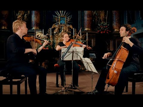 J.S.Bach Goldberg-Variations BWV 988 Kuusisto, Francis, Altstaedt  Rehearsal Lockenhaus