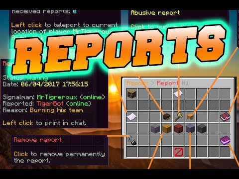 Minecraft Report Plugin