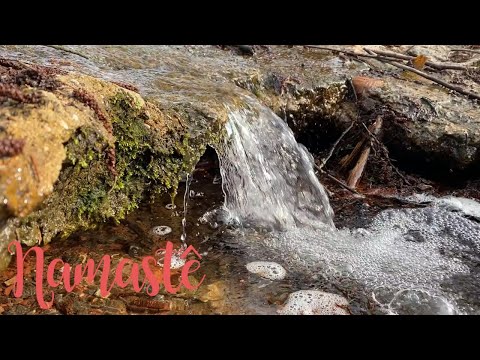 Som de Água Corrente para Dormir Relaxar Estudar - (Barulho de Água de Rio)