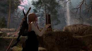 【再確認】NEXUS版 Community Shaders 1.4.11(ReShadeなし）映像＆スタッター確認 SkyrimSE