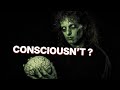 Why Philosophical Zombies Can't Exist | Against Epiphenomenalism