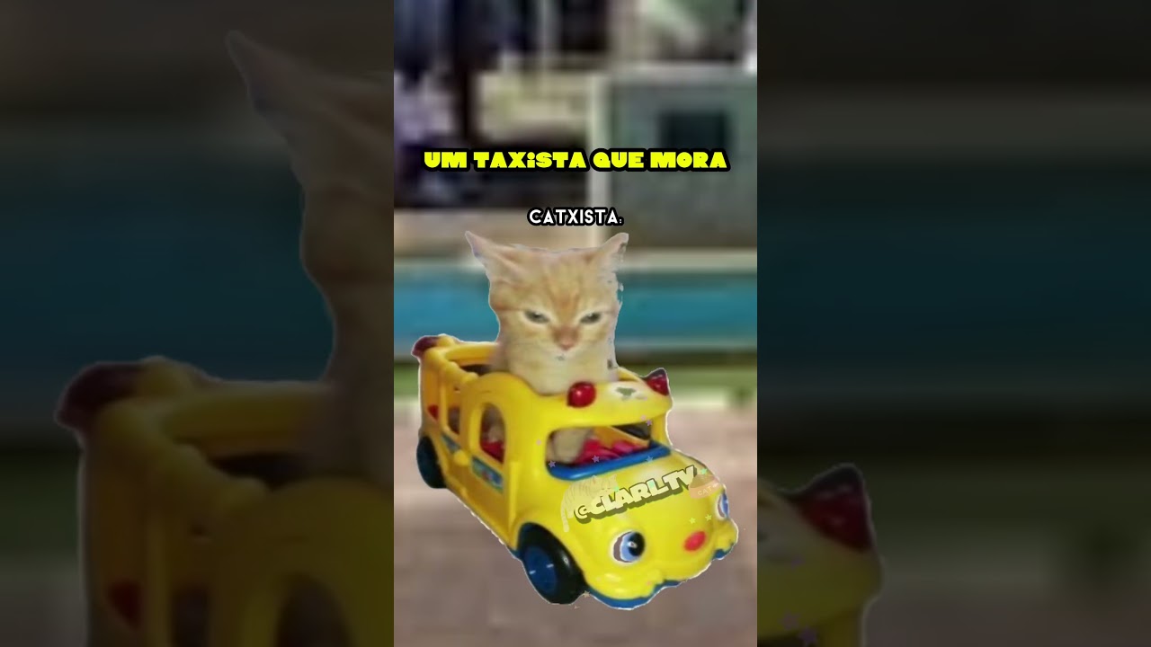 O QUE VOCÊ FALARIA? 😂 [#naoflopa #gatos #capcut #shorts #memes #viralshorts #vaipraforyou