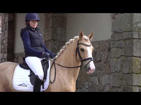 MONA LISA 6j. Palominostute v. The breas my mobility - Rubin Royal