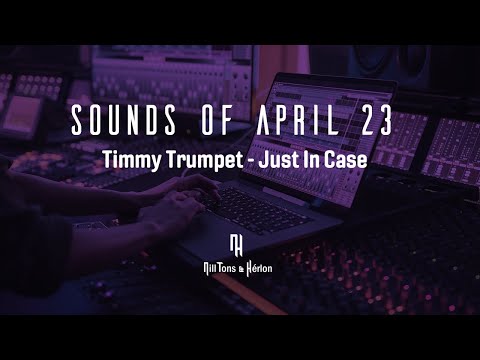 Timmy Trumpet - Just In Case (Legendado)