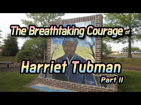 Ted-ed 수업 디딤영상: The Breathtaking Courage of Harriet Tubman Part 2