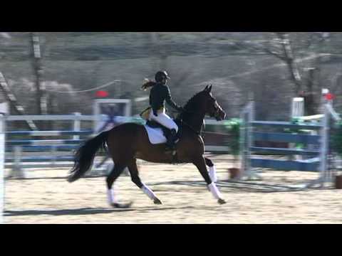 Concurso Alameda del Pardo 6/3/2011 Alba Herraez con Sardon