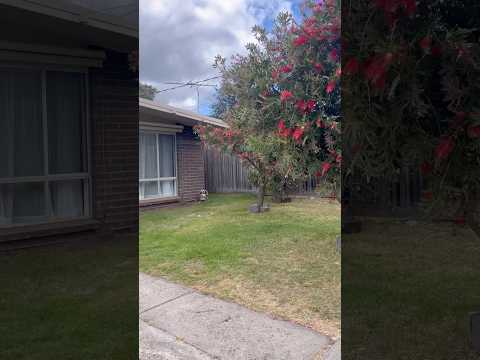 185 Eighth Avenue, Rosebud, VIC 3939, 2 slaapkamers, 1 badkamers, House