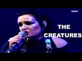 The Creatures - Pluto Drive (Live in 4th April 1999 in Düsseldorf).