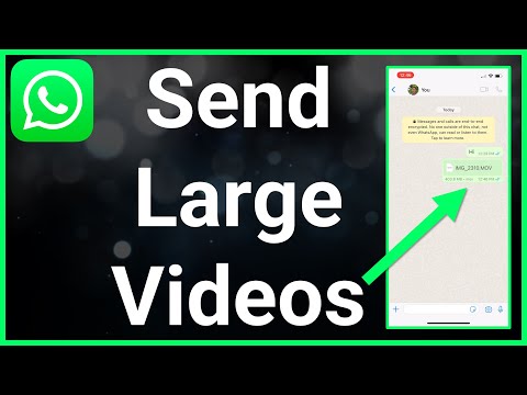 WhatsApp Tests New 2GB Limit for Media File Sharing in Argentina