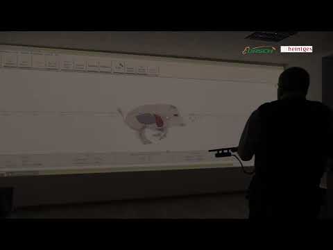 2. Tipps und Tricks zum Schießen - Drückjagdtraining