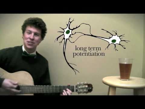 A Biologist's St. Patrick's Day Song