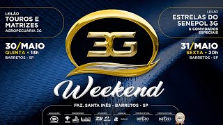 Lote 09   GGG 3739 zap