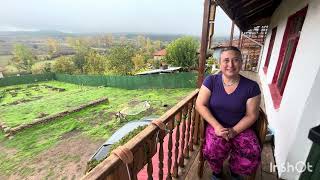 My second year at Gügü