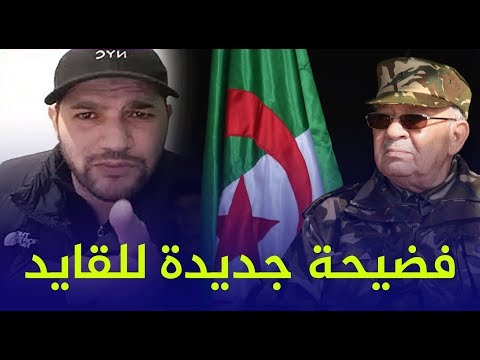 امير ديزاد يسرب وثيقة خطيرة عن قايد صالح
