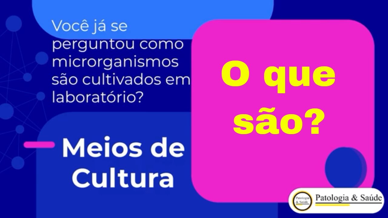 Meios de cultura bacterianos: O que são e como funcionam?