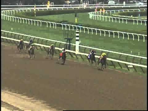 Turbulent Descent wins 08/06/2011