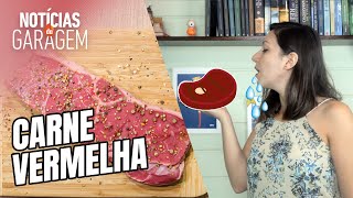 Miniatura do vídeo