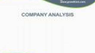 Writing the Company Analysis Section of Your Business Plan