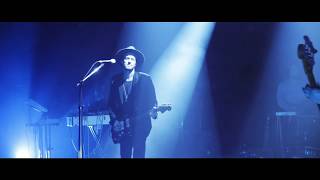 The Veils - Swimming With The Crocodiles  [Live]