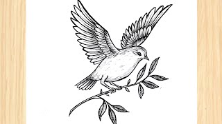 Bird Drawing For Beginners | How to Draw a Flying Bird Easy | Dove Drawing
