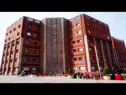 GNA University, Phagwara Admission 2025, Course Fees, Placements