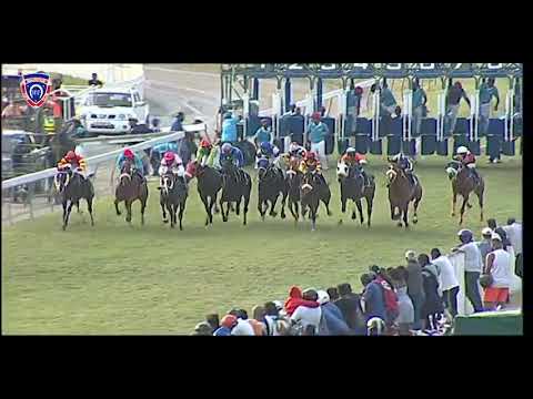 RM35 R9 | Romanus | O.Plaçais